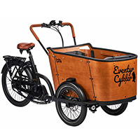 bedste el ladcykel test 2023